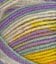 083616_FUN BRIGHTS_950
