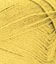 099341_VARSITY YELLOW_929