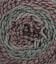 060385_PONDEROSA PINE_946