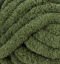 013945_EVERGREEN_930