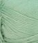 014168_SUCCULENT_936