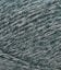 024091_BLUE CORAL_954