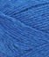 014278_CAMPANULA_941