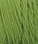 012702_LIGHT GREEN_928
