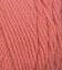 012870_DK CORAL_928