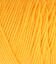 013605_VARSITY GOLD_928