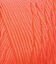 002945_CORAL_928
